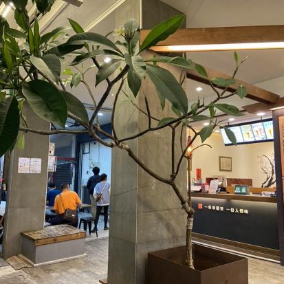 茶湯會漢陽店 誠徵長期兼職人員