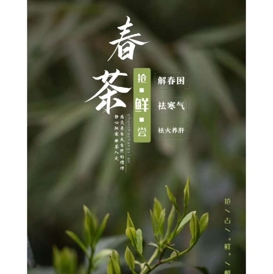 中秋節海報設計