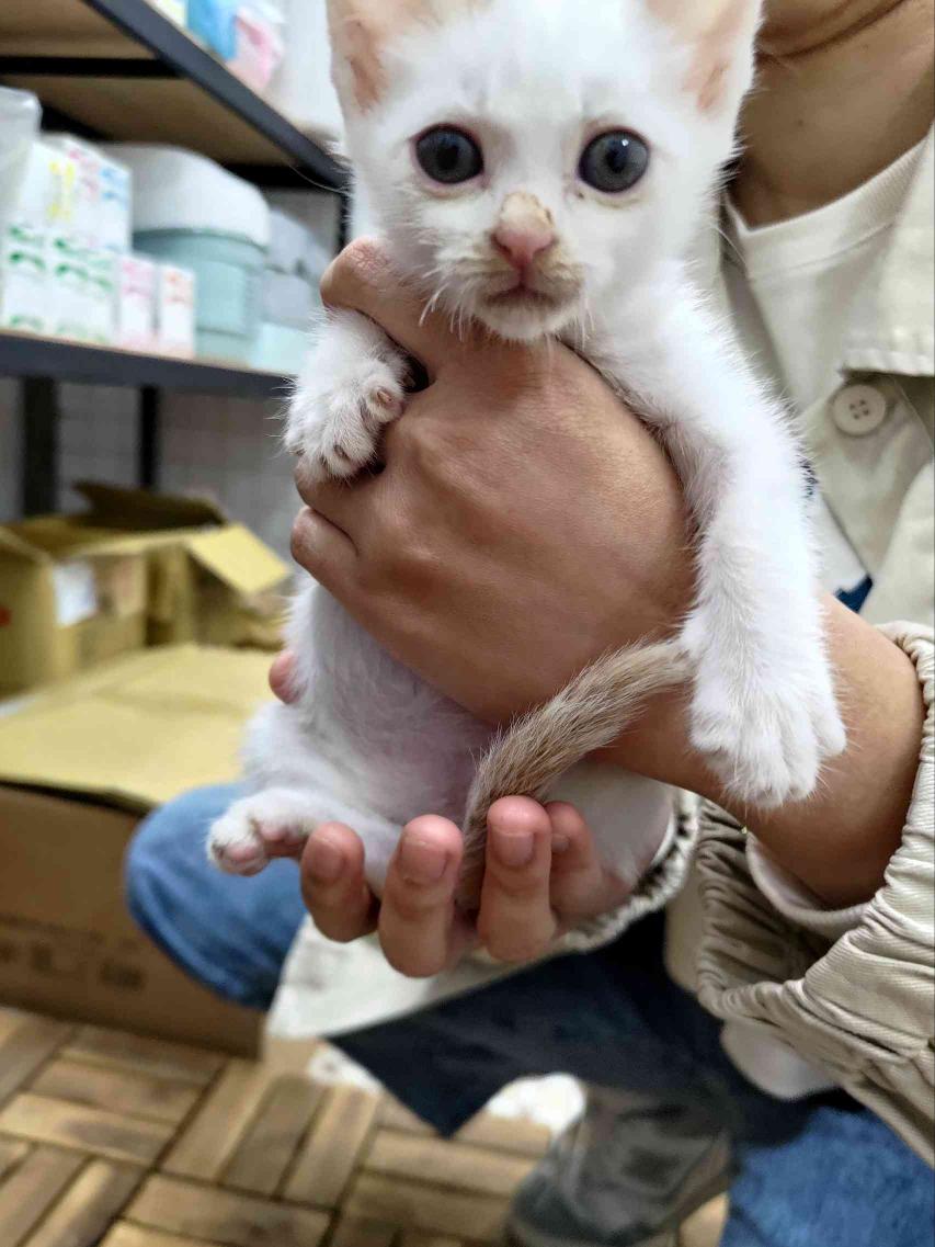 工讀生