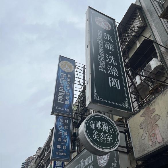 寵物洗澡助理