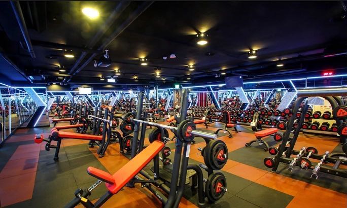 World gym 運動調查，活動推廣